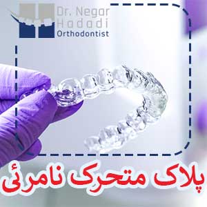 پلاک متحرک نامرئی